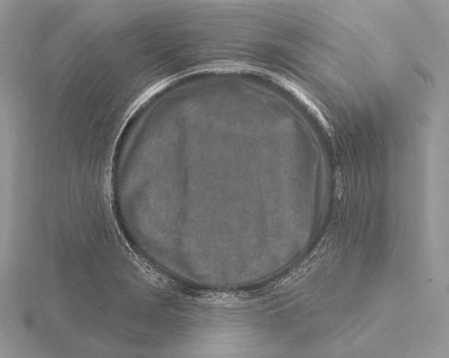 X0000115631229200912081037