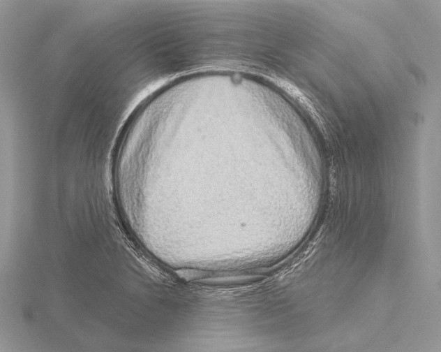 X0000115631230200912081037