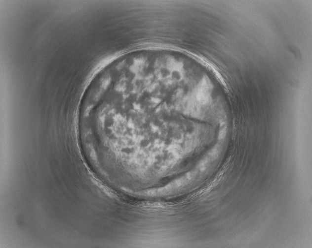 X0000115631231200912081037