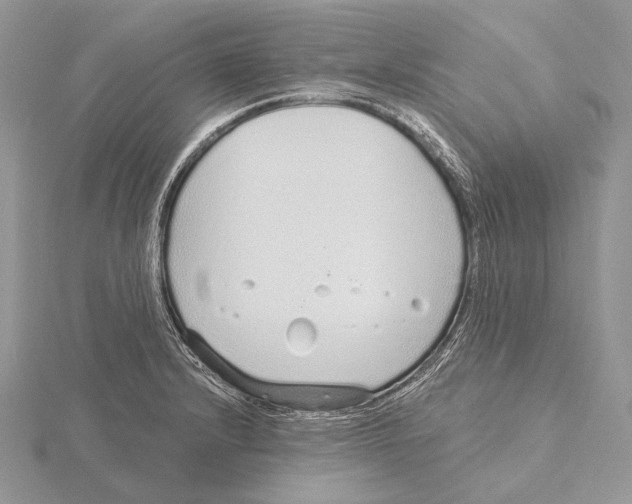 X0000115631232200912081037