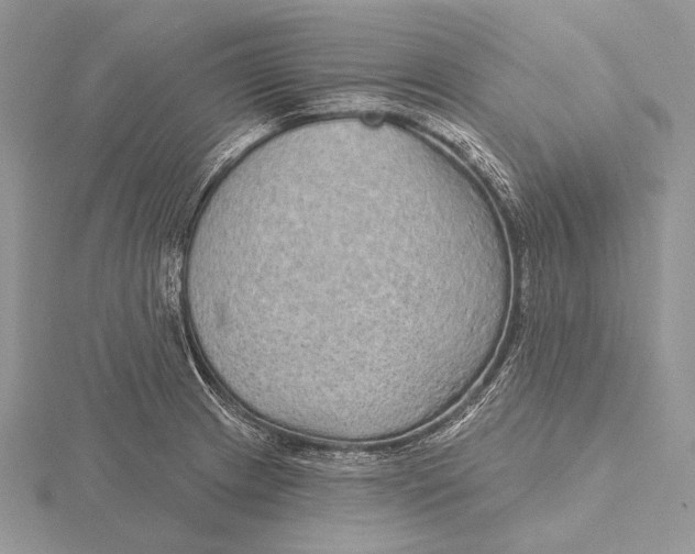 X0000115631233200912081037