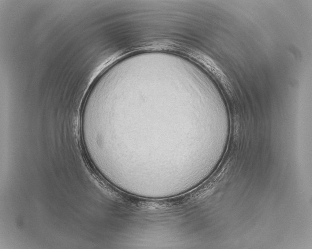 X0000115631234200912081037