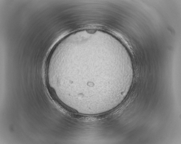 X0000115631235200912081037