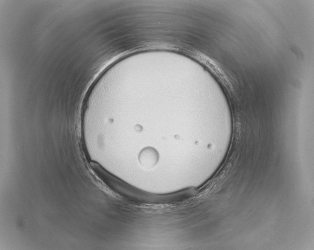 X0000115631236200912081037