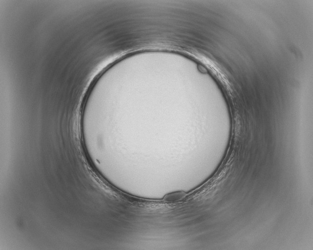 X0000115631238200912081037