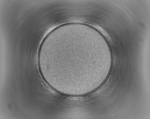 X0000115631240200912081037