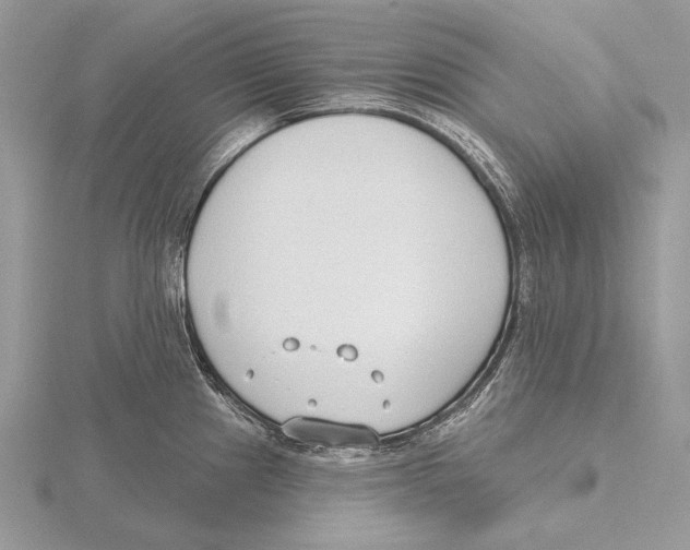 X0000115631241200912081037