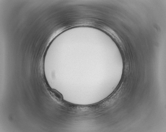 X0000115631242200912081037