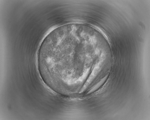 X0000115631243200912081037