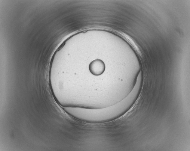 X0000115631244200912081037