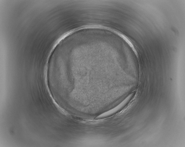 X0000115631245200912081037