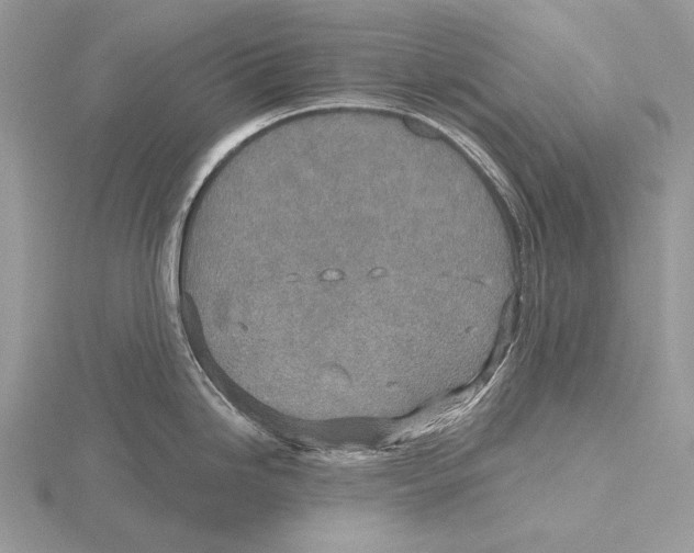 X0000115631246200912081037