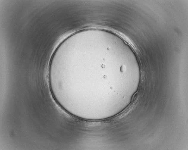 X0000115631247200912081037