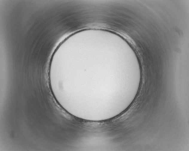 X0000115631248200912081037