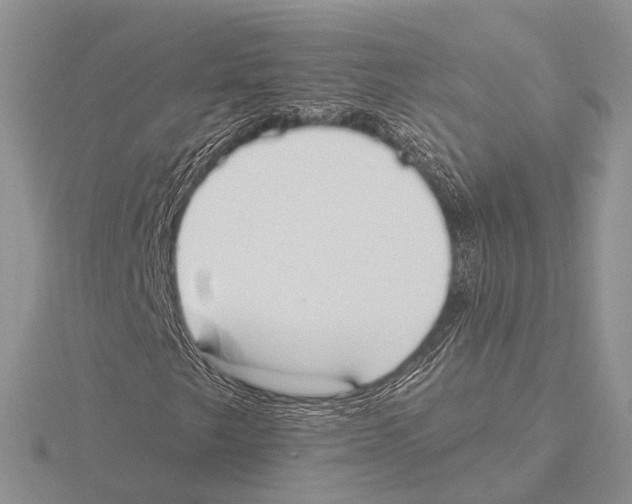 X0000115631249200912081036