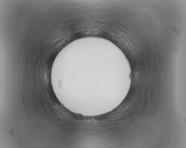 X0000115631250200912081036