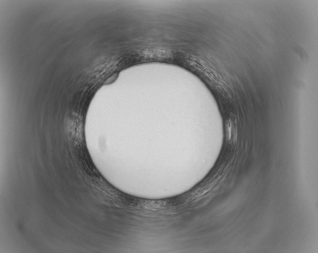 X0000115631251200912081036