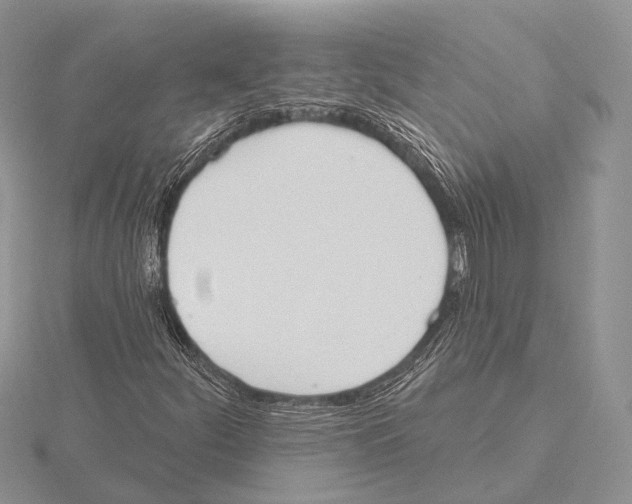 X0000115631252200912081036