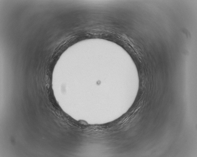 X0000115631253200912081036