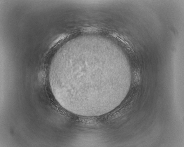 X0000115631254200912081036