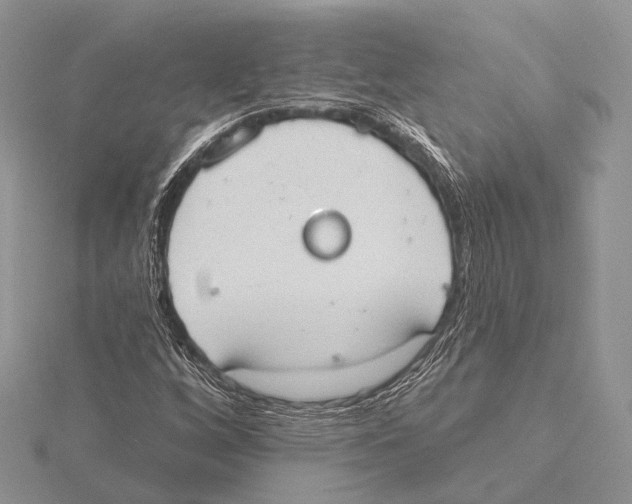 X0000115631256200912081036