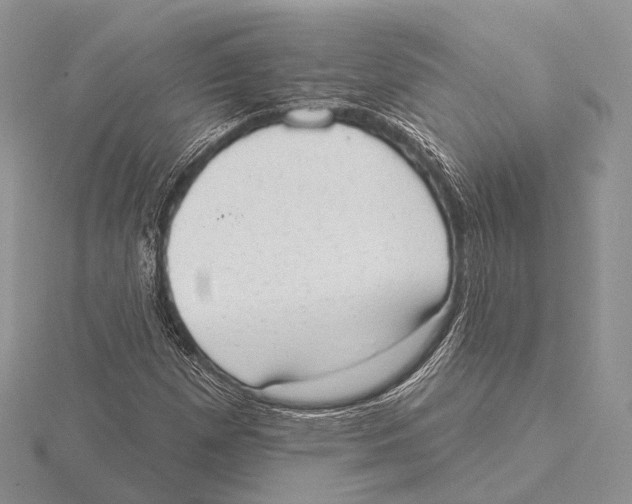 X0000115631257200912081036