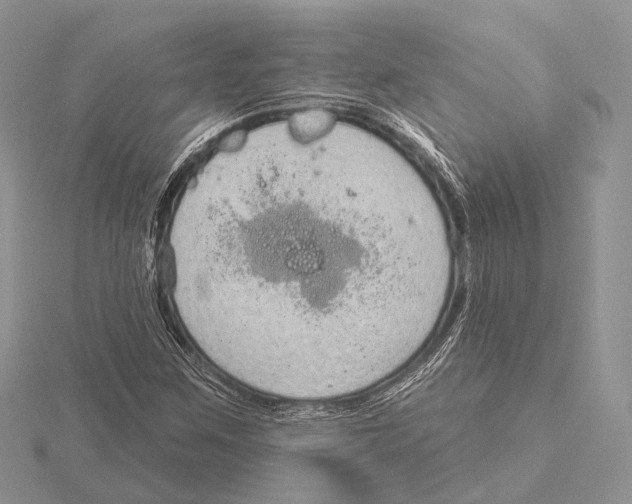 X0000115631259200912081036