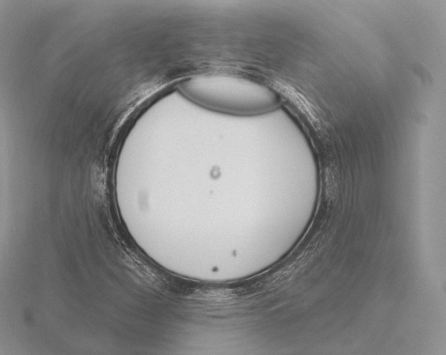 X0000115631260200912081036