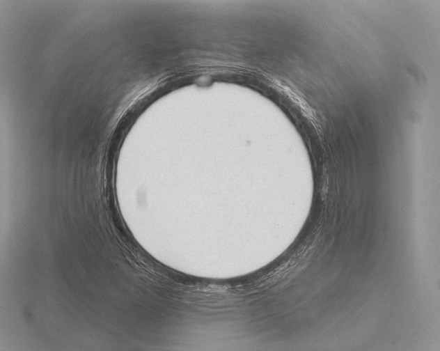 X0000115631261200912081036