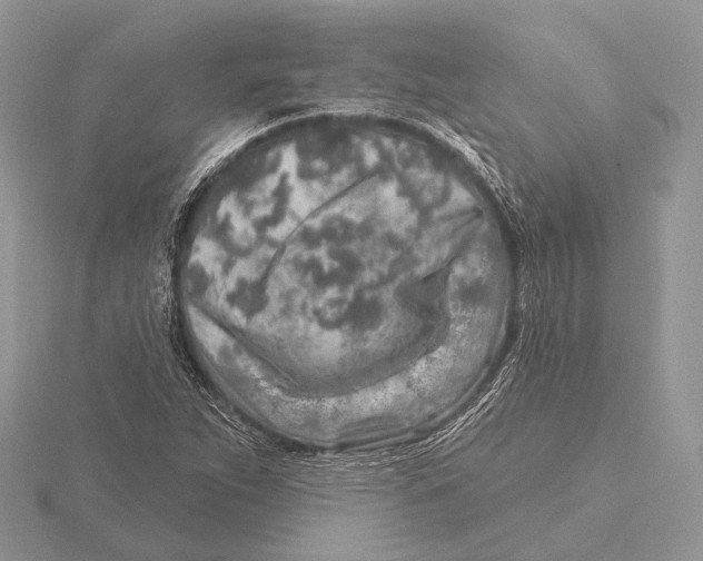 X0000115631263200912081036