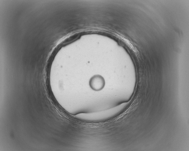 X0000115631264200912081036