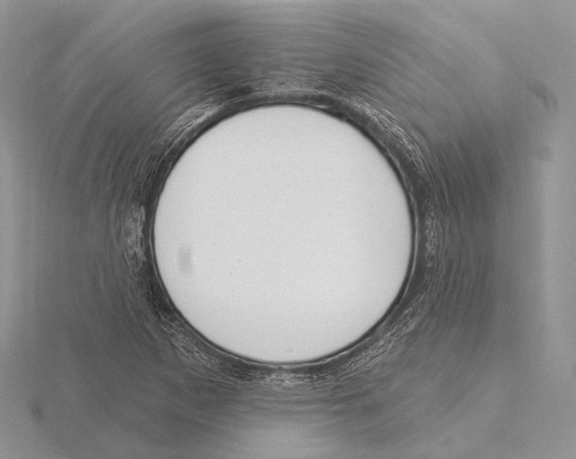 X0000115631265200912081036