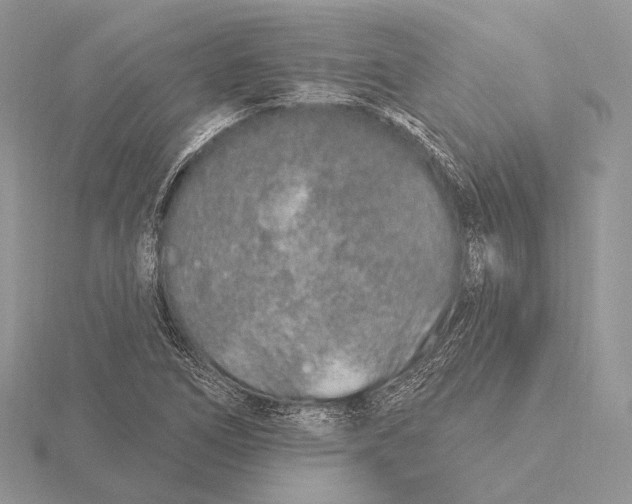 X0000115631266200912081036