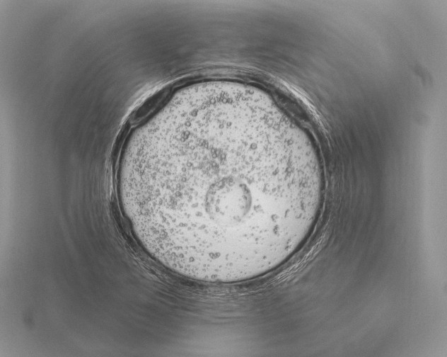 X0000115631267200912081036