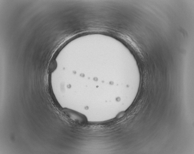 X0000115631268200912081036