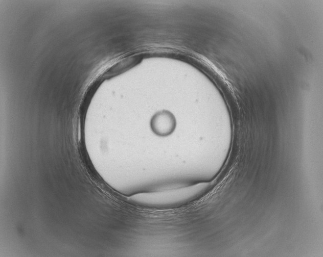 X0000115631269200912081036