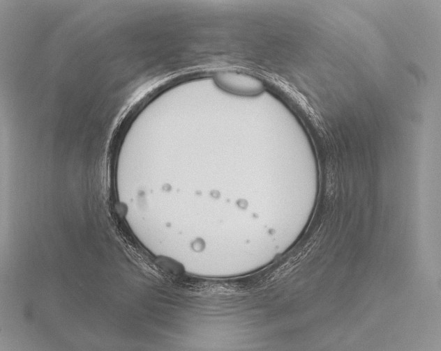 X0000115631270200912081036