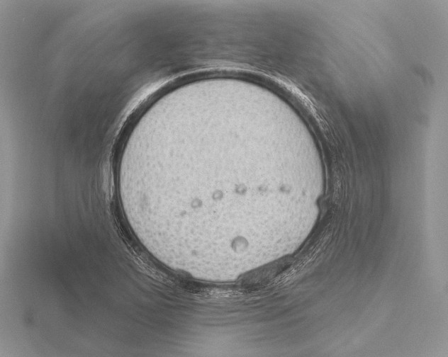 X0000115631271200912081036