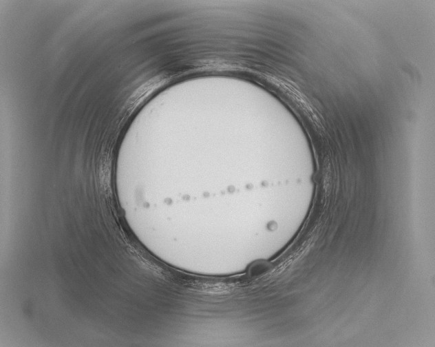 X0000115631273200912081036