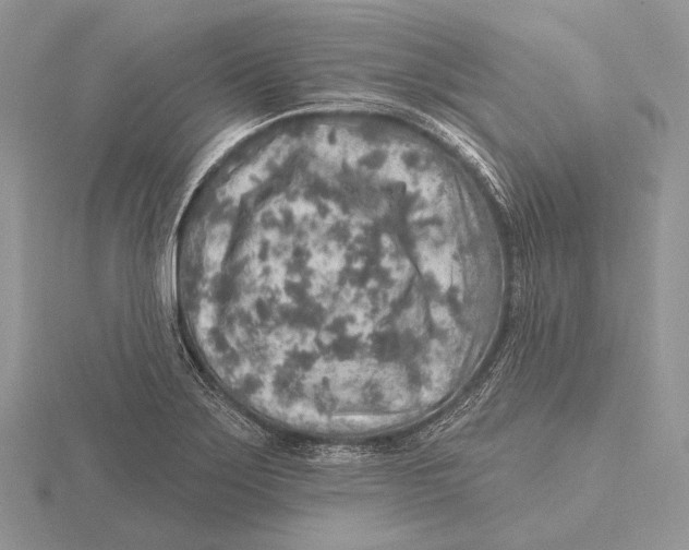 X0000115631275200912081036