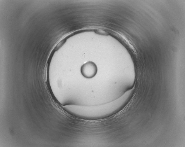 X0000115631276200912081036