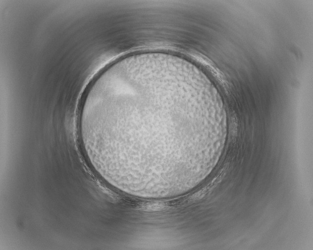 X0000115631278200912081036