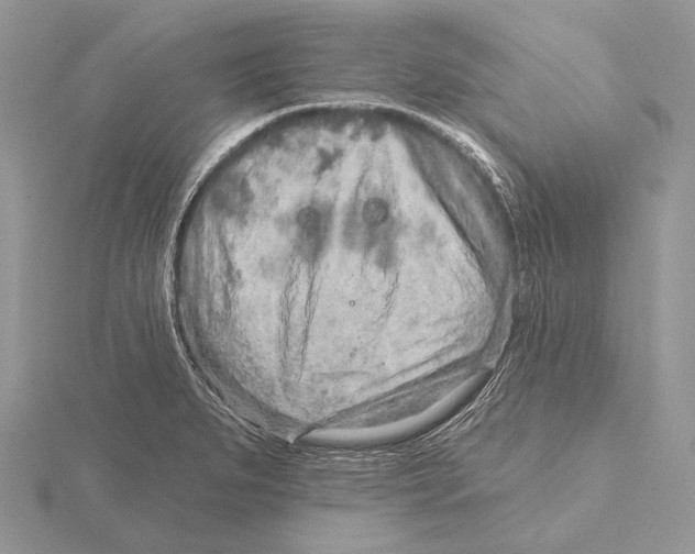 X0000115631279200912081036