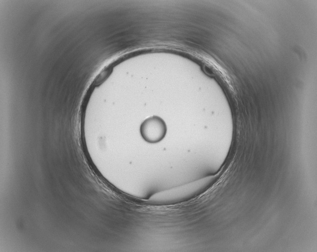 X0000115631280200912081036