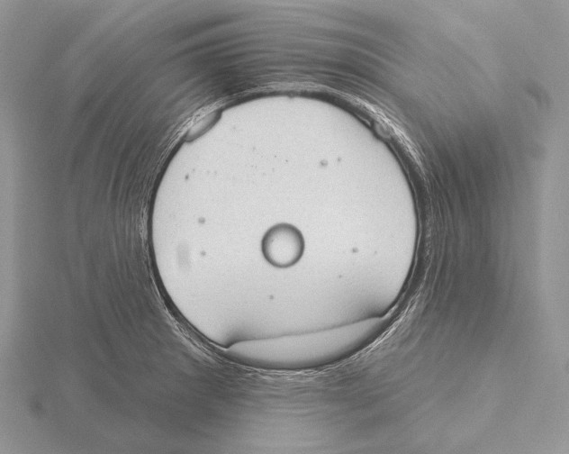 X0000115631281200912081036