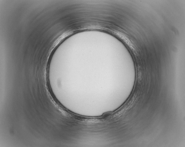 X0000115631282200912081036