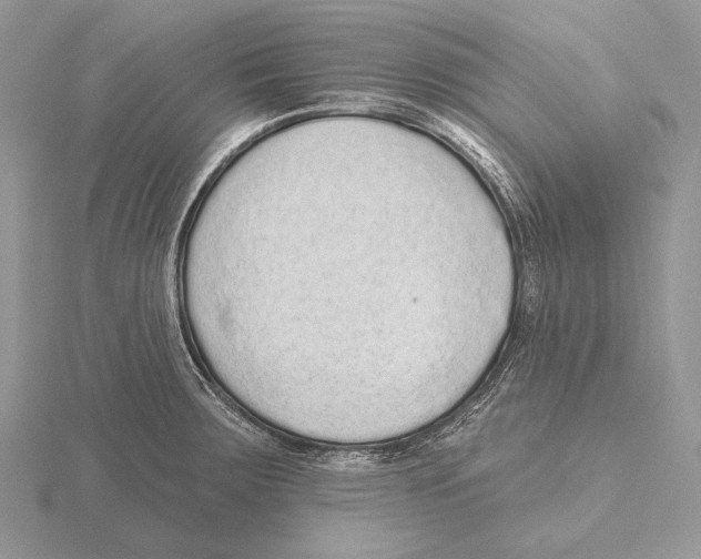 X0000115631283200912081036