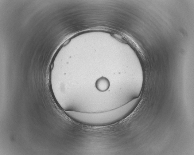 X0000115631284200912081036