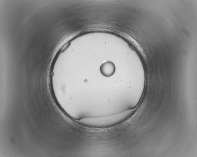 X0000115631285200912081036