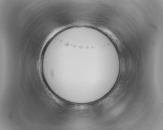 X0000115631286200912081036